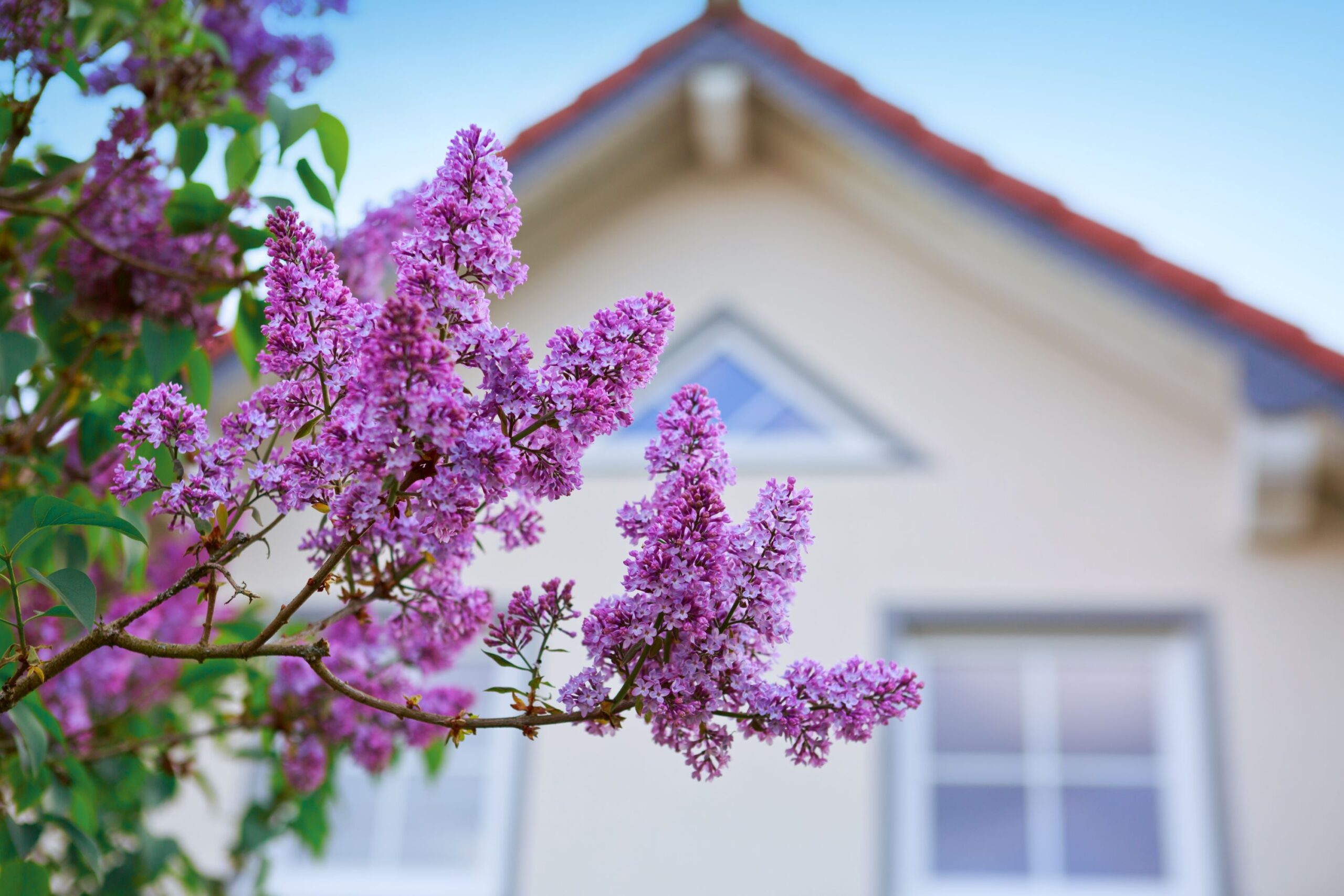 Frühling nutzen, Verkaufspreis optimieren